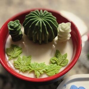 Green and White Succulent Candle